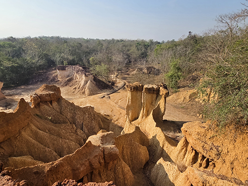 エリンギのような奇岩